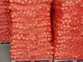 Disponemos de 22 toneladas de cebollas amarillas a la