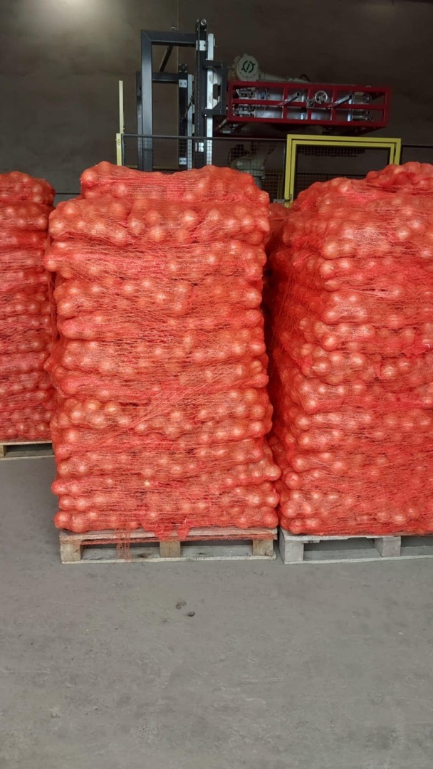 Disponemos de 22 toneladas de cebollas amarillas a la venta
