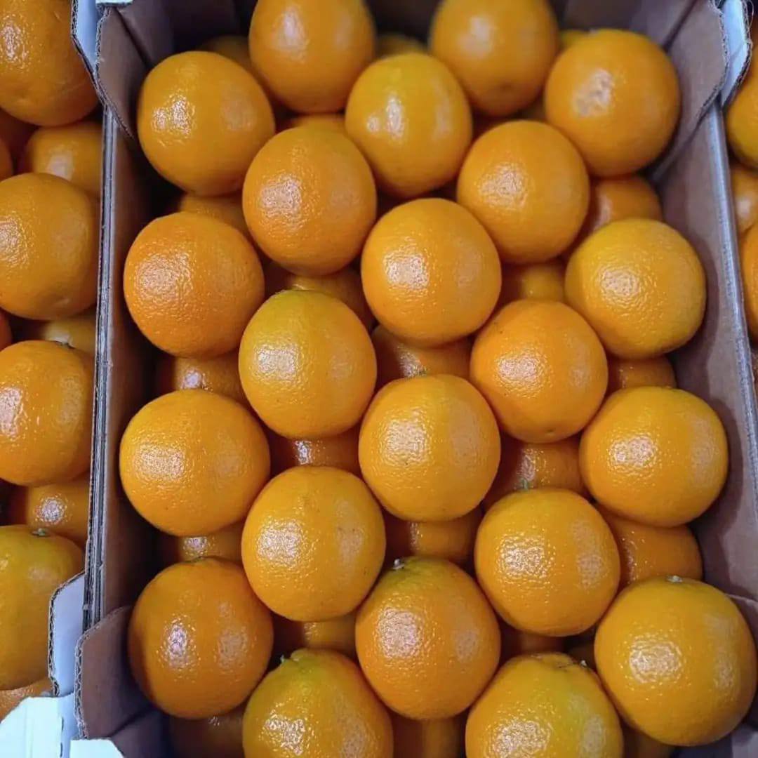 Raees Group presenta la naranja: ¡una fruta deliciosa con propiedades únicas! Naturalmente rica en vitamina C, fibra y antioxidantes, la naranja es ideal para