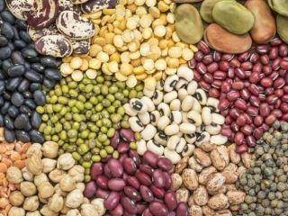 Exportación de todo tipo de frijoles desde Uzbekistán: Frijoles