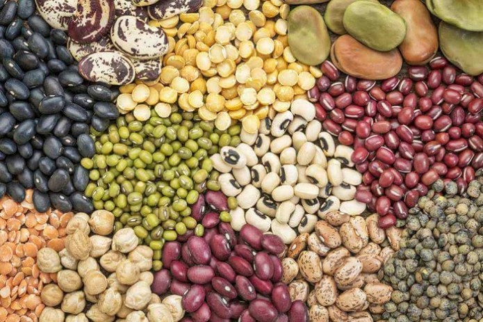 Exportación de todo tipo de frijoles desde Uzbekistán: Frijoles morados, frijoles mungo verdes, frijoles rojos, frijoles claros, frijoles de ojo negro