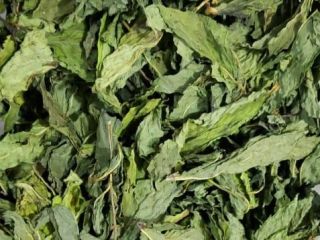 HOJAS ENTERAS AROMA FUERTE COLOR VERDE NATURAL SECADO AL