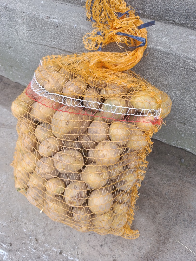 Hola, tengo patatas Vineta y Queen Anna recién cosechadas para vender