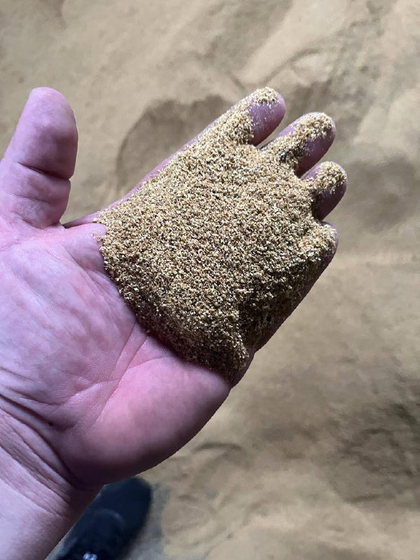 Vendo DDGS (Granos secos de destilería con solubles) – proteína para alimentación animal Producto natural, resultante de la fermentación del maíz Rico en