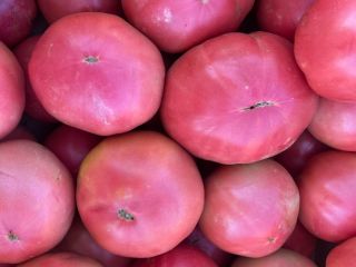 Ofrecemos tomates rosados
