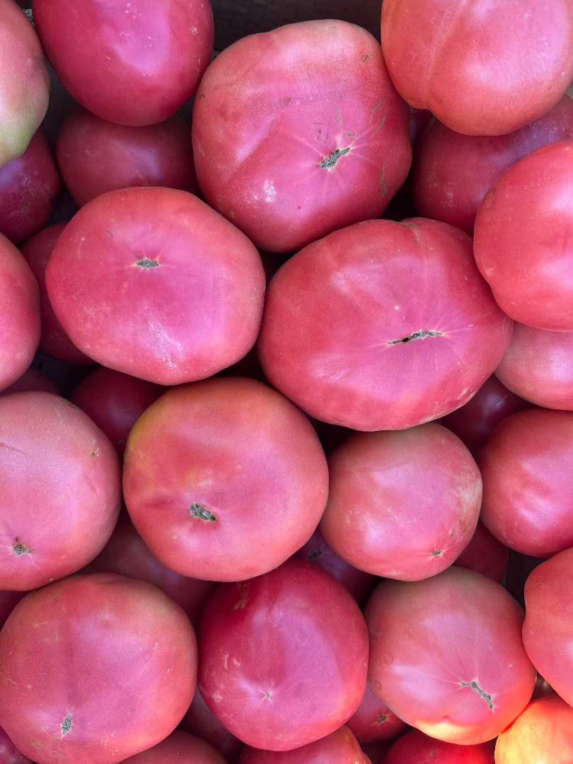 Ofrecemos tomates rosados