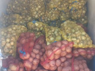 Venta de cebollas