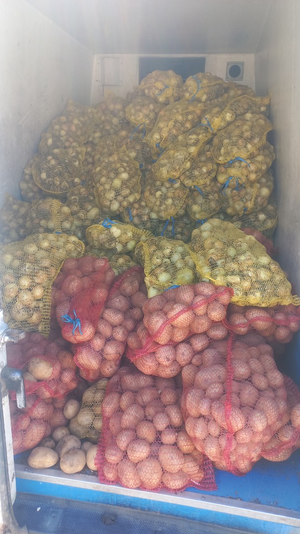 Venta de cebollas