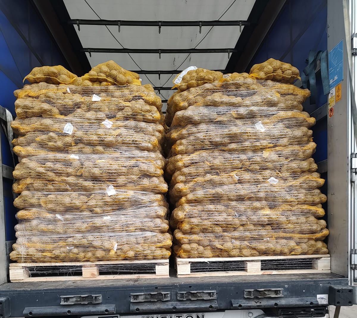 Vendo papas jóvenes comestibles con análisis fitopatológicos