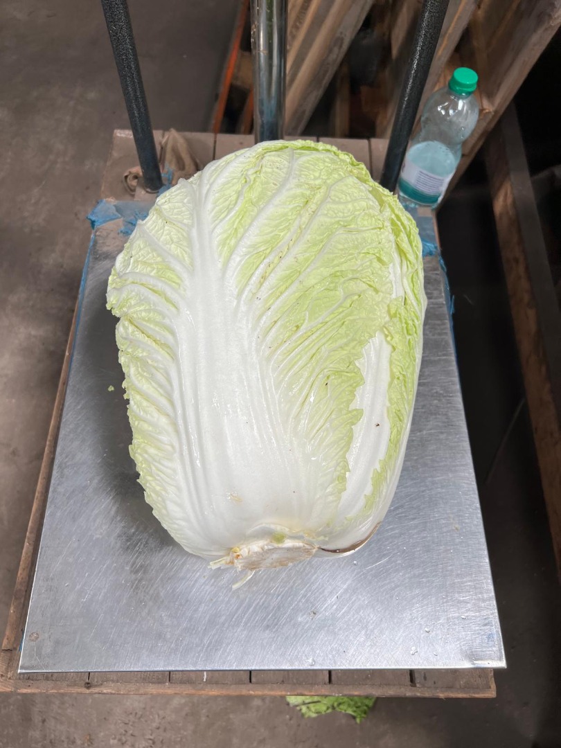 Vendo col china industrial, de 2 a 5 kg