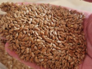 Ofrecemos avena orgánica Biosuisse, 50 toneladas, de alta calidad,