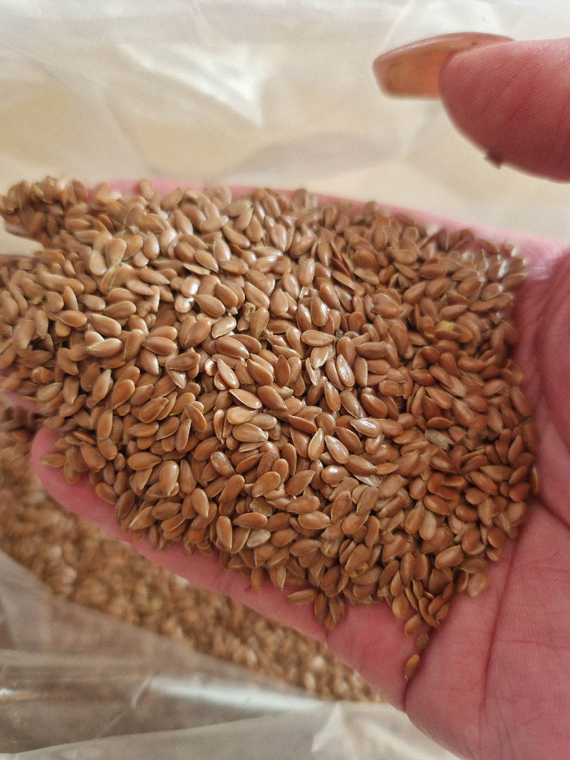 Ofrecemos avena orgánica Biosuisse, 50 toneladas, de alta calidad, el precio se basa en los precios mayoristas de las últimas 4 semanas