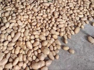 Vendo papas de Arizona. Cosecha 2025. Detalles en el