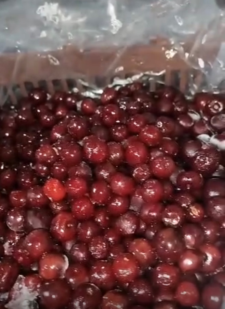 Guindas congeladas sin hueso MOQ: 1FTL (22 toneladas) Guindas congeladas con hueso Entregadas a su almacén en Italia 3 euros/kg