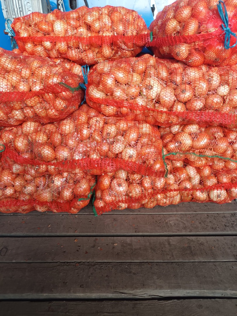 Vendo cebollas de verdeo empacadas en bolsas de 25 kilos para la venta en el pueblo de Hatuica no 3