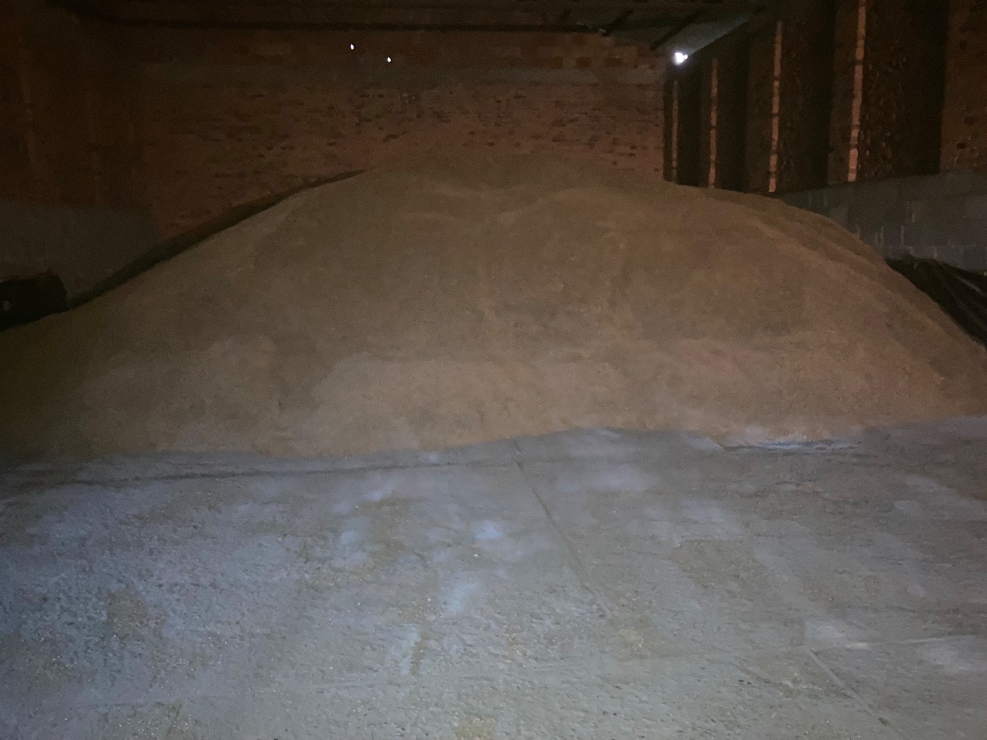 Vendo avena organica, aproximadamente 150 toneladas