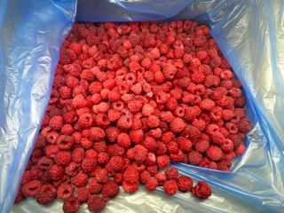 Frambuesas congeladas rápidamente (extra)