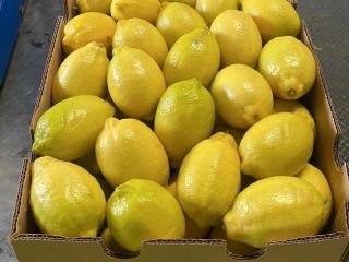 Limones Eureka envasados y listos para entrega.