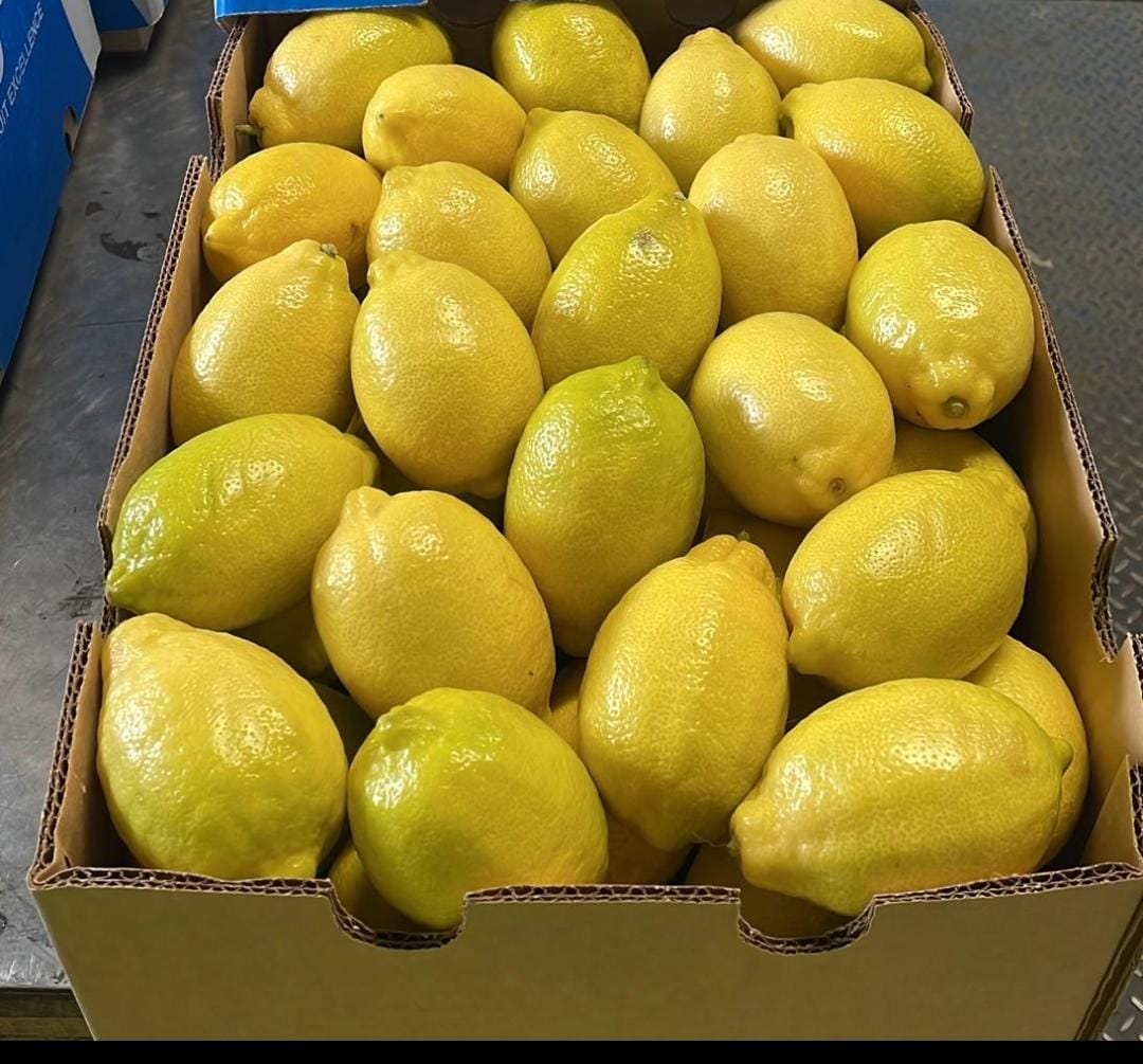 Limones Eureka envasados y listos para entrega