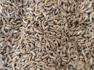 Origen y experiencia: Soy un agricultor polaco con amplia
