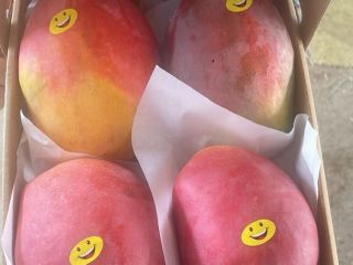 Mangos frescos listos para comer importados de Egipto a