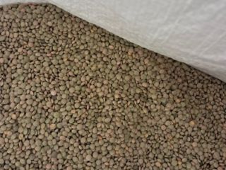 Se venden hasta 23.000 kg de lentejas pequeñas a