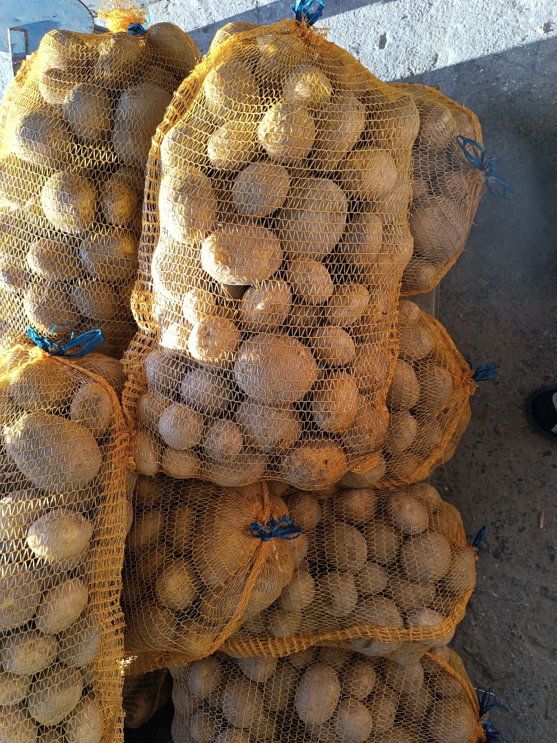 Vendo patatas de la variedad Vineta, muy sabrosas, recién cosechadas, envasadas en sacos de 15 kg, grandes cantidades
