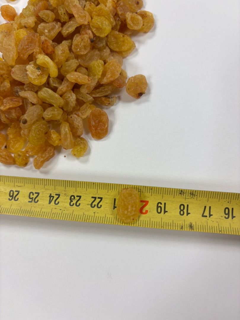 Vendemos pasas amarillas doradas en cajas de 10 kg, listas para enviar en cualquier momento