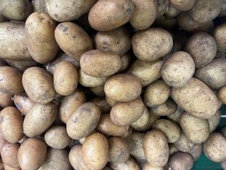 Venta de cebollas, zanahorias, chirivías y patatas (10 kg/bolsa