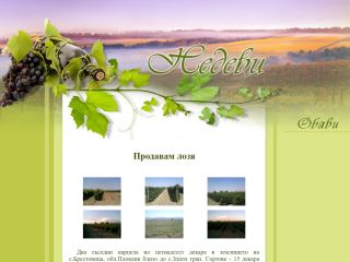 Moscatel, Chardonnay - a partir del 1.09.25 Merlot -