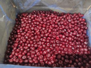 Vendo cerezas ácidas IQF, clase I, sin hueso, en