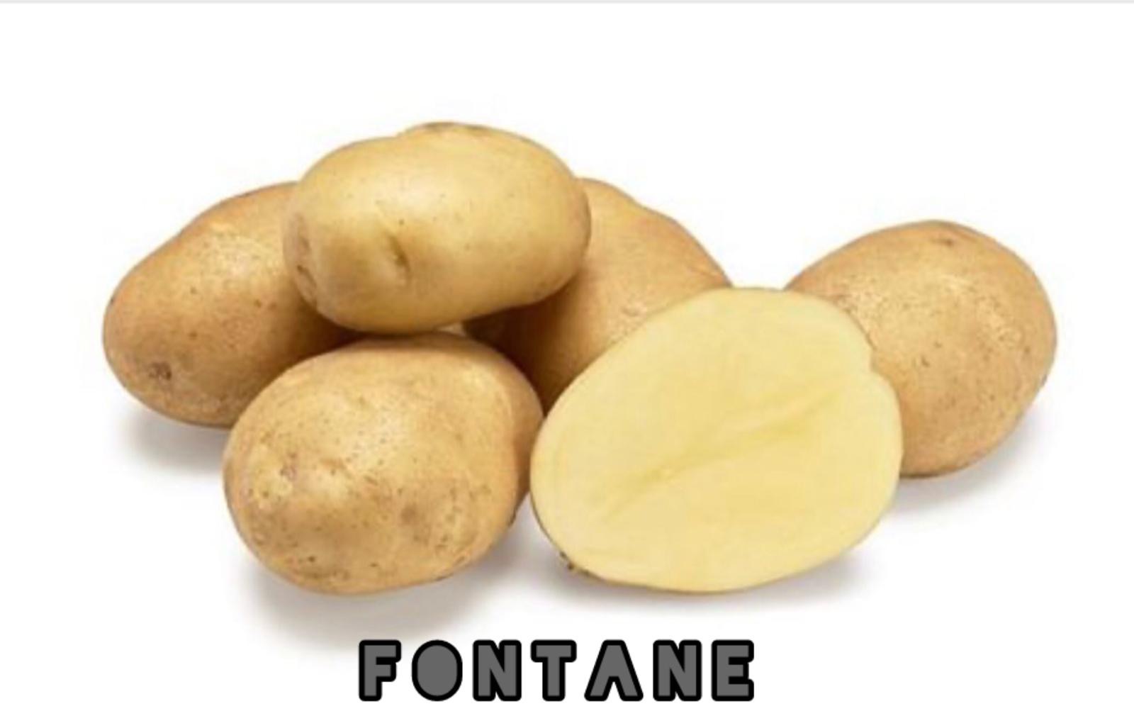 Empresa de importación y exportación con sede en Rumanía que vende grandes cantidades de patatas producidas en Francia y Bélgica bajo pedido