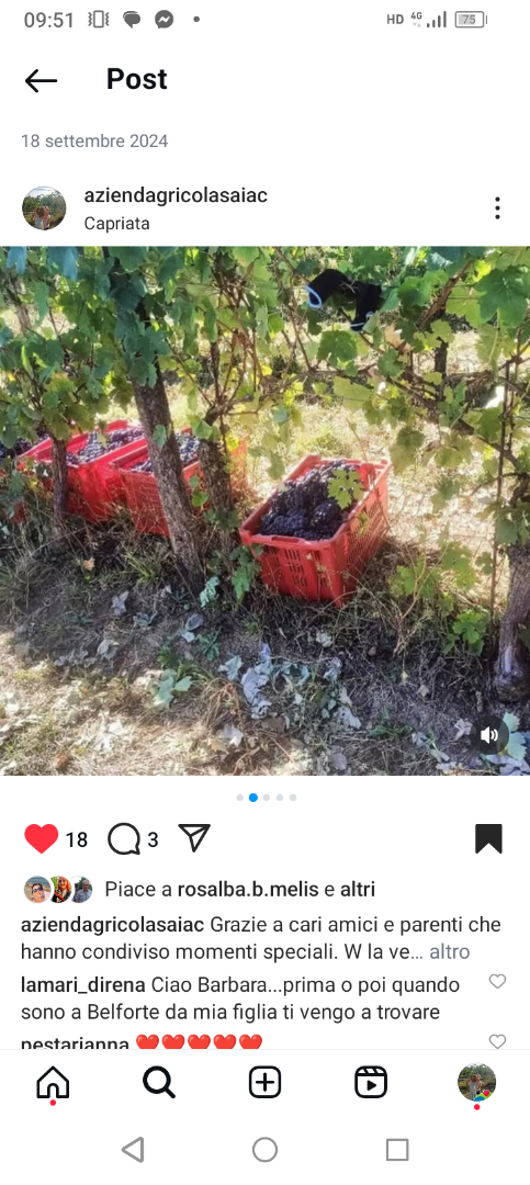 Variedades de uva de buena calidad: Negra (Dolcetto del m.to y Barbera) Blanca (Cortese del m.to) Fecha de cosecha a partir del 05 de septiembre Uvas