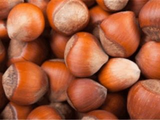 Avellanas azerbaiyanas premium. Nuestras avellanas se cultivan en regiones