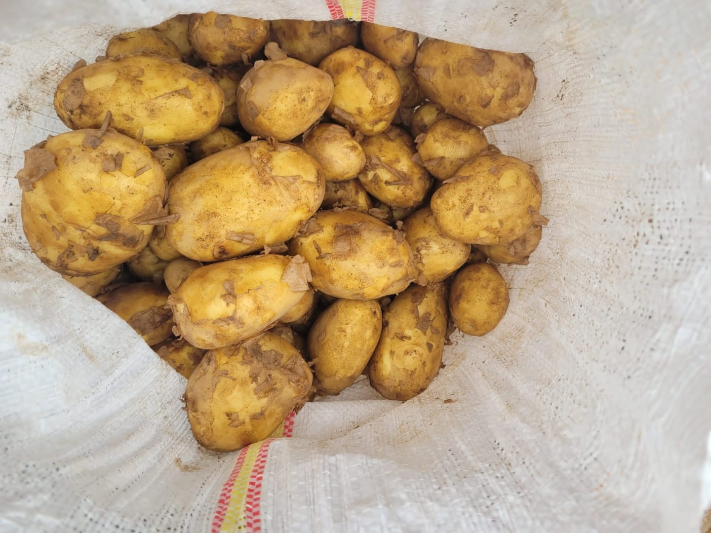 La empresa rumana CIOCAN FLOPAT PROMARK SRL, con años de experiencia en el mercado, vende patatas
