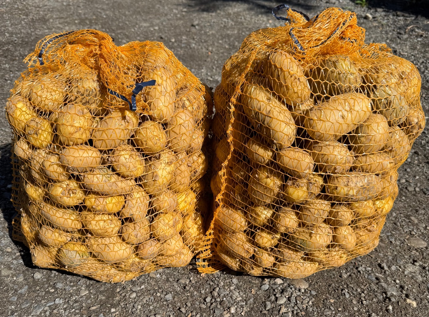 Vendo papas comestibles Soraya envasadas en bolsas grandes o en sacos de 15 kilos