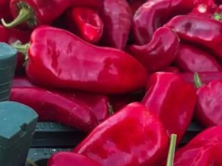 Frutas y verduras frescas directamente de productores turcos: ¡los