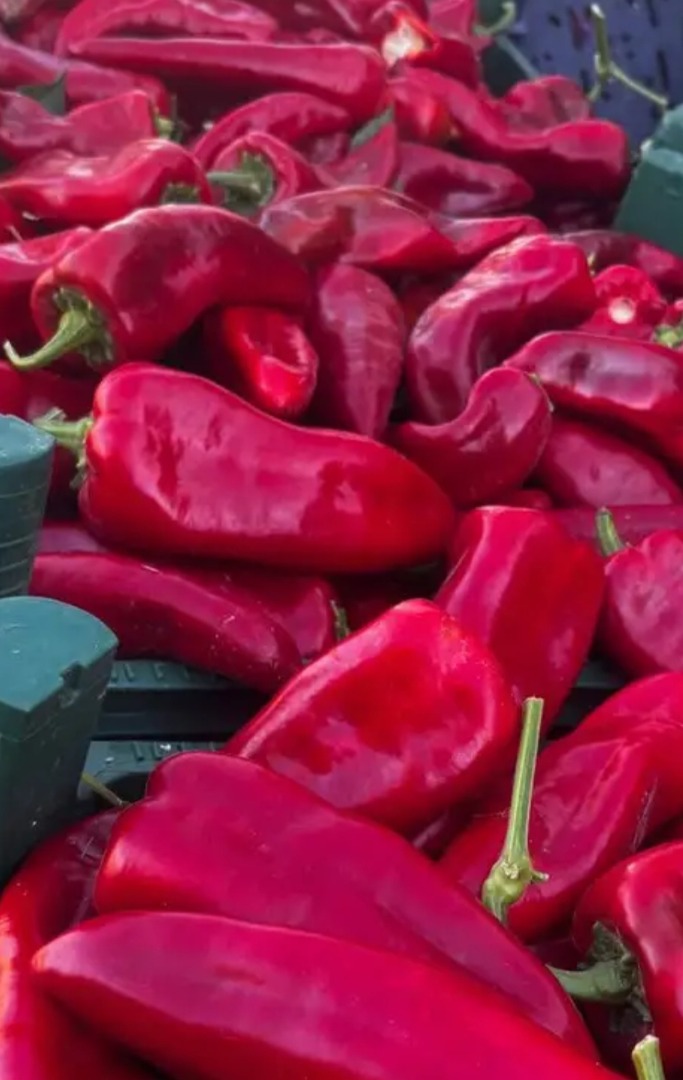 Frutas y verduras frescas directamente de productores turcos: ¡los mejores precios! Ofrecemos una amplia gama de frutas y verduras de temporada, cultivadas con