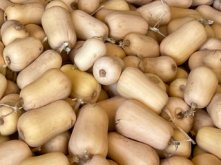 Calabacín butternut. Calidad superior, envío a todas partes.