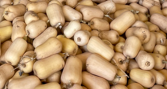 Calabacín butternut