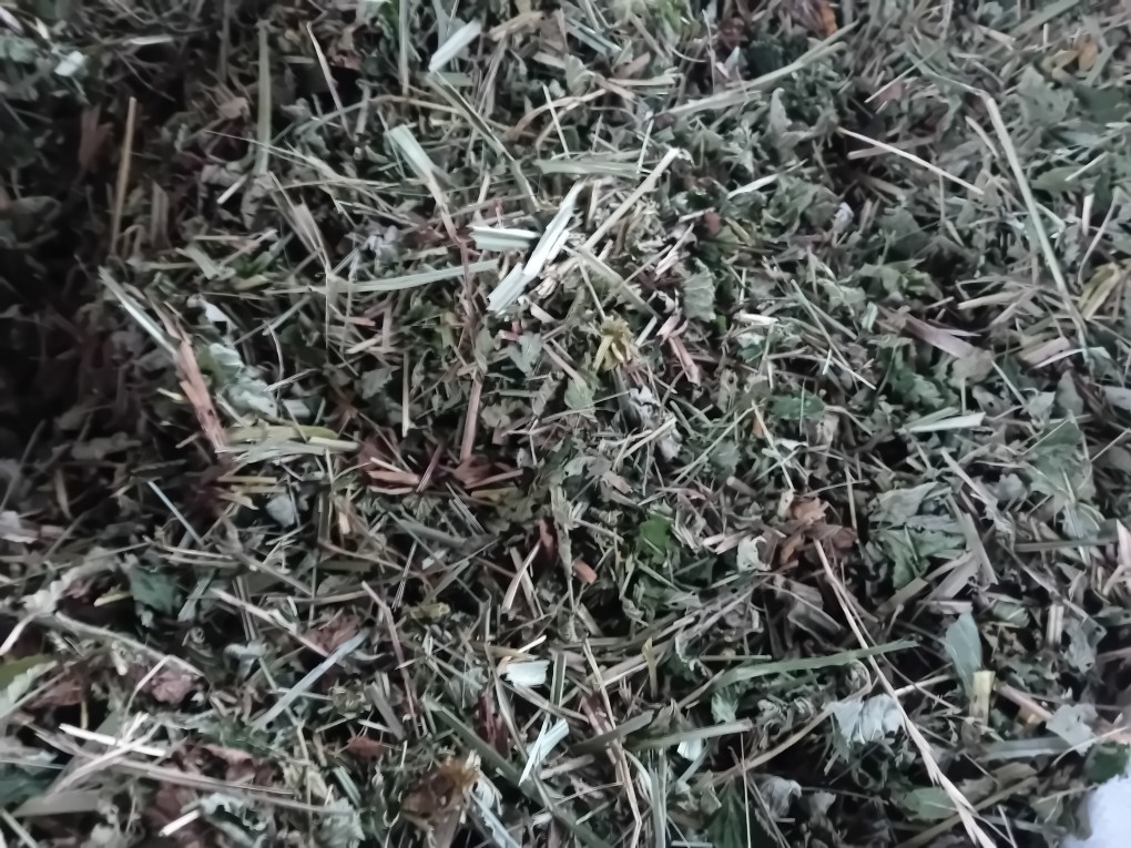 Vendo hierba reina de los prados cortada unos 1500 kg