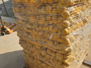 Vendo papas amarillas y rojas en bolsas de 5,