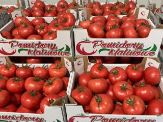 ¡Hola! Tomate Frambuesa 2B/3B/4B. Cantidades completas. ¡Nos enfocamos en