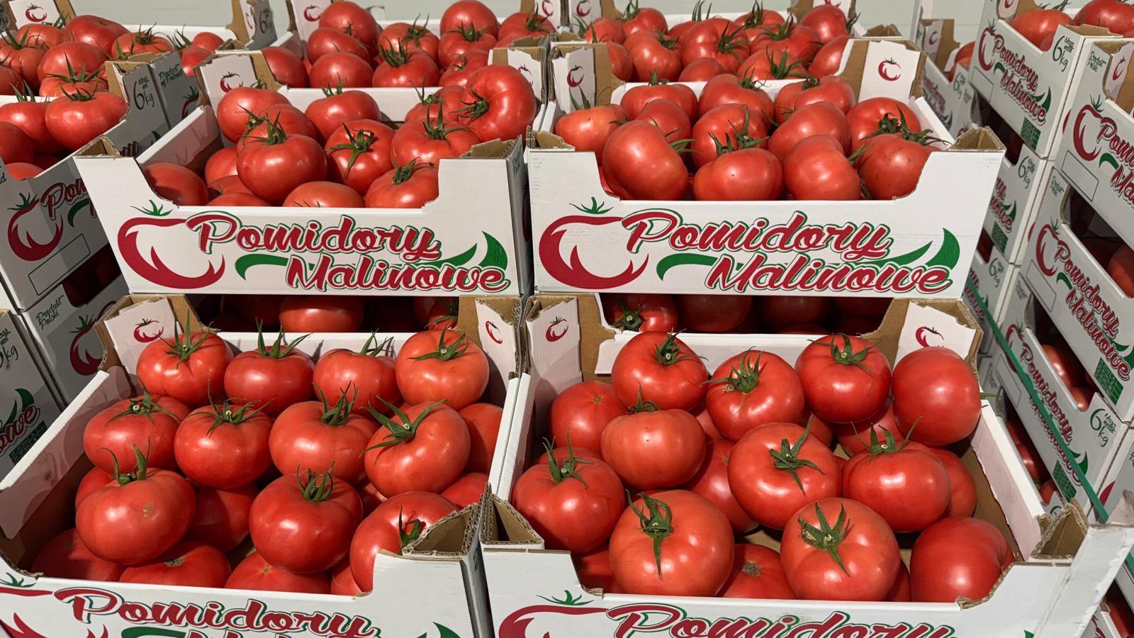 ¡Hola! Tomate Frambuesa 2B/3B/4B