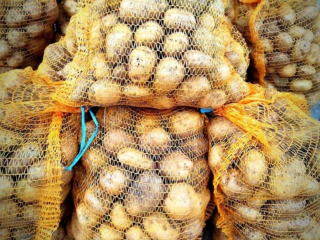 Venderé papas Denar de mi propio cultivo sin fertilizantes