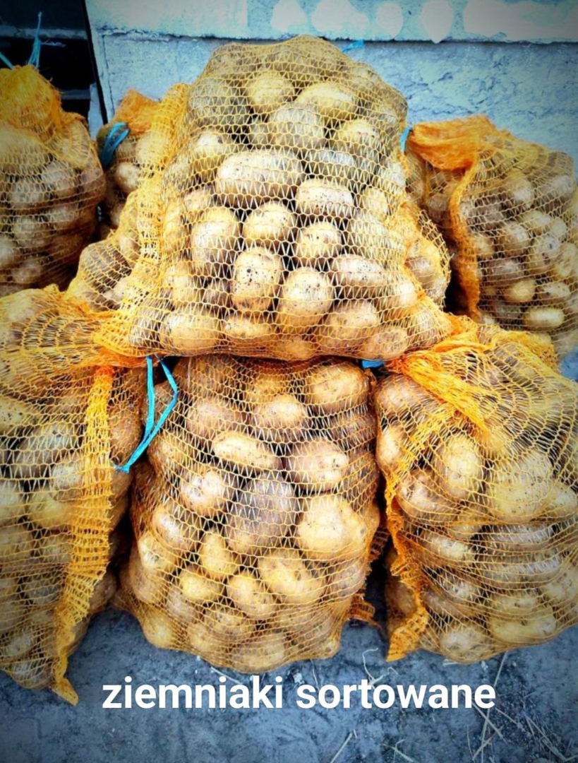 Venderé papas Denar de mi propio cultivo sin fertilizantes artificiales