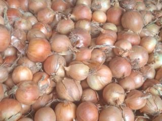 Hola. Busco cebollas amarillas de exportación, calibre 60-70+. Más