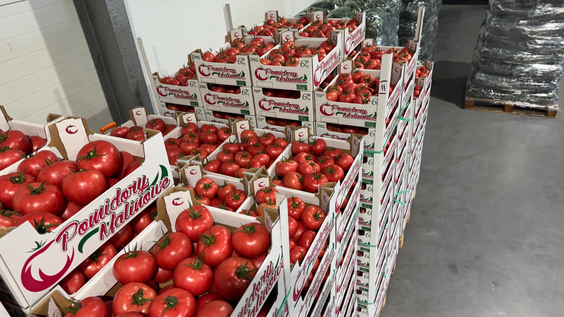 ¡Hola! JAREX ofrece tomates frambuesa 1B, 2B y 3B