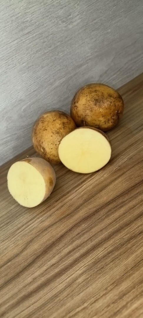 Vendo papas Soraya de calibre 5+