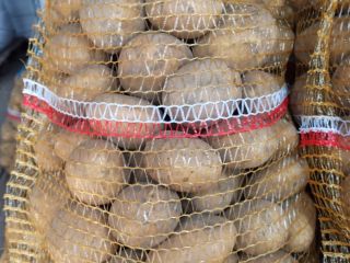 Tengo papas comestibles de la variedad Lord a la